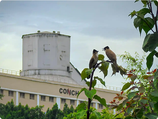 微信圖片_20250818104438 微信圖片_20250818104438